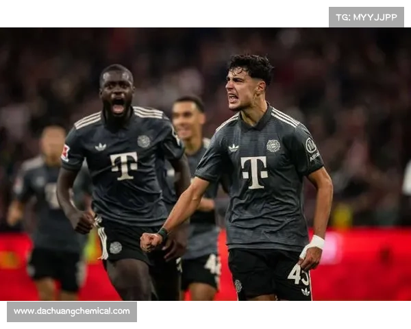 如何查找拜仁慕尼黑主场球场的准确名称及相关信息